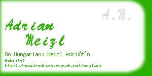 adrian meizl business card